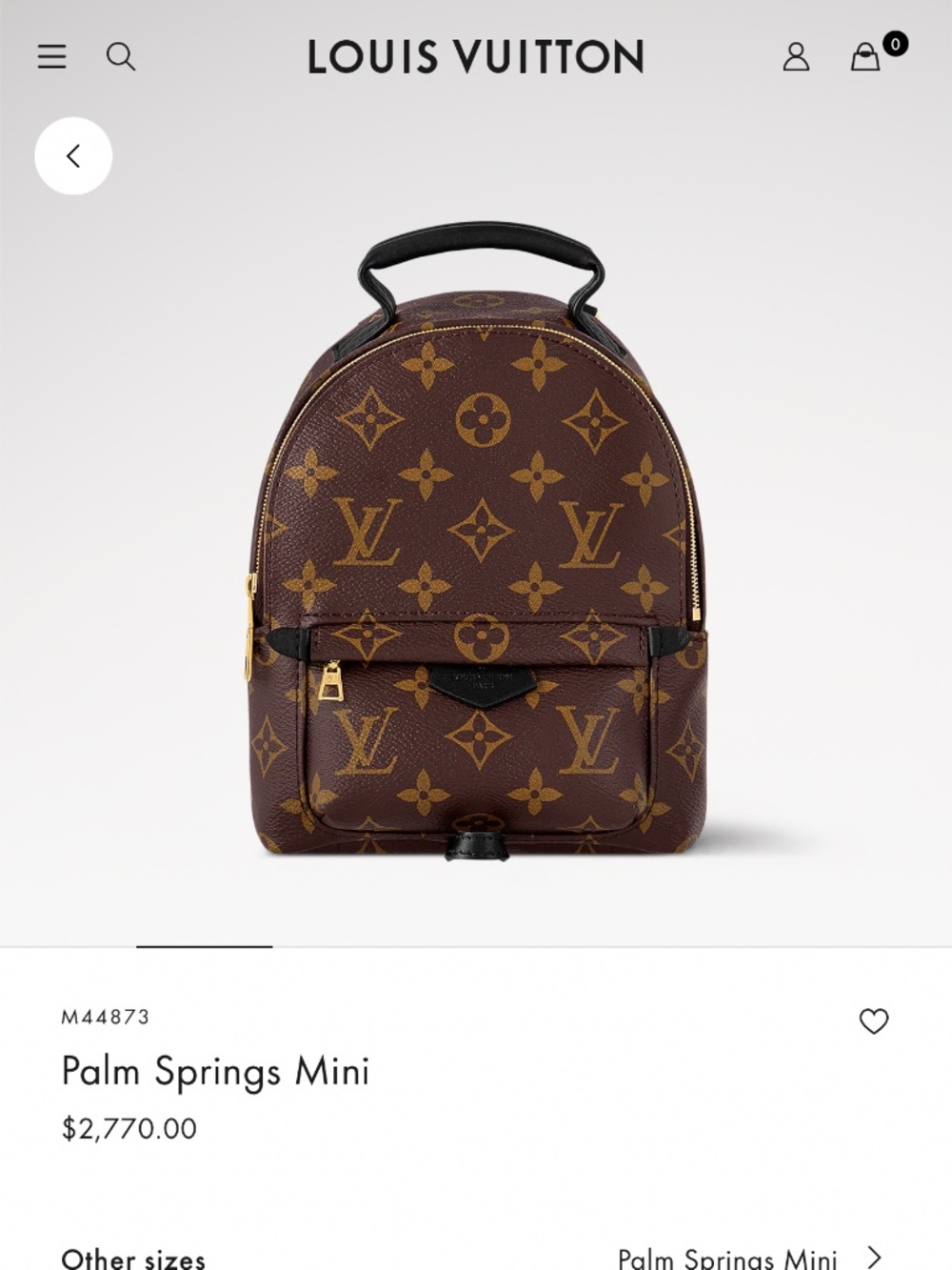 Louis Vuitton Palm Springs Mini